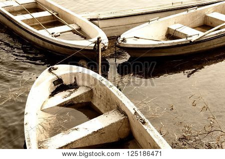 Three weathered swamped boats tied up to a post on water within Chenshan Botanical Garden in Shanghai China.