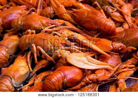 closeup boiled craw fish for background uses