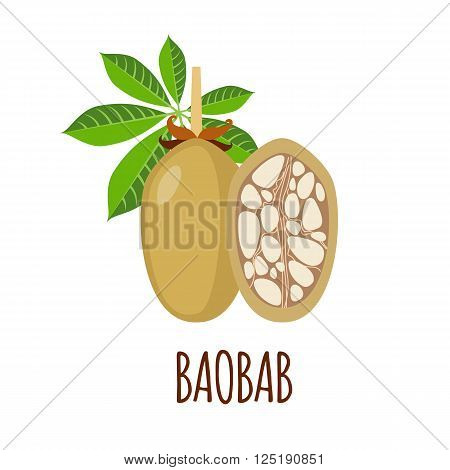 Baobab vector logo  in flat style. Baobab icon. Isolated object. Superfood baobab fruit. Vector illustration.