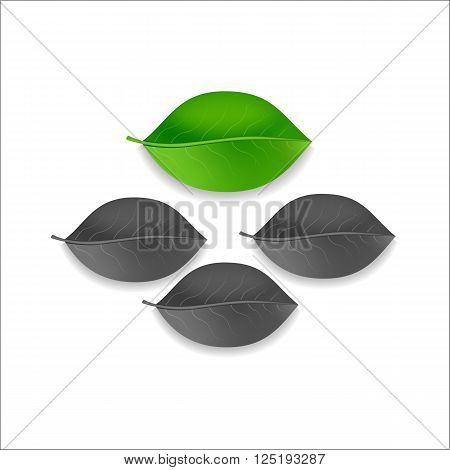 three gray and one green leaf tree on a white background
