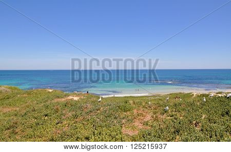 Elevated scenic view overlooking the turquoise Indian Ocean seascape with vegetated dunes at Penguin Island in Rockingham, Western Australia.