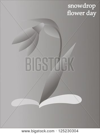 Snowdrop plant simple vector illustration. Grey gradient illustration for the snowdrop flower day. Icon, poster, card design