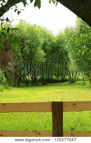 Landscape of grassland with trees, summer village, arch
