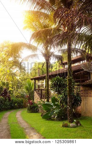 Brazil traditional house. path along the house and palm trees in the garden Brasil