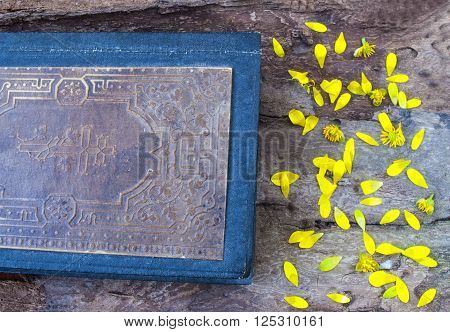 old book on wood background, with flower petals.
** Note: Soft Focus at 100%, best at smaller sizes