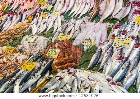 Great choice of fish for sale at a turkish market