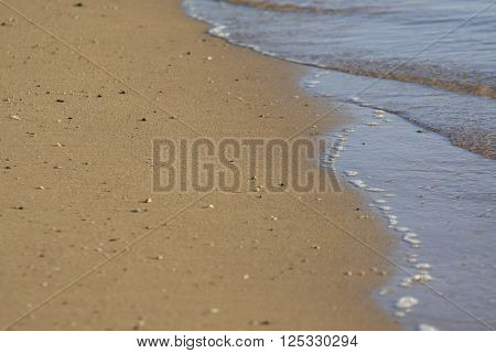 Morning beach with tidal bore and smooth sand with scattering of little stones
** Note: Shallow depth of field
