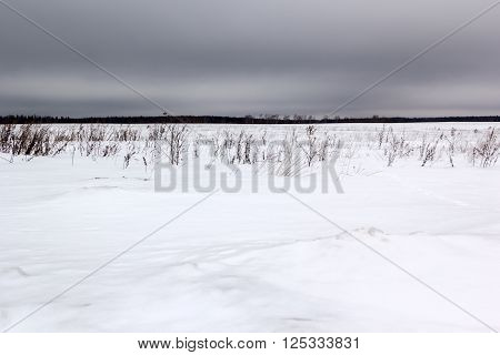 snow covered field under gloomy gray skies