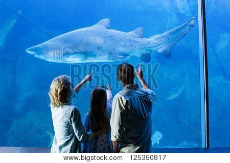 Rear view of family pointing at shark in a tank at the aquarium