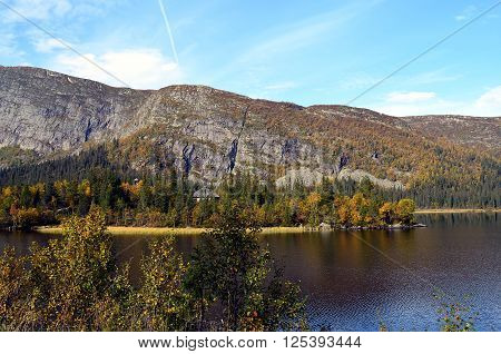 Sunny Day In South Norway At A Lake