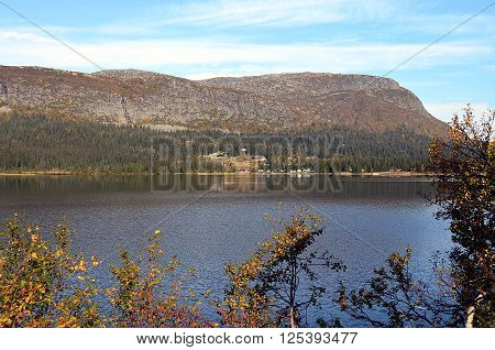 Sunny Day In South Norway At A Lake
