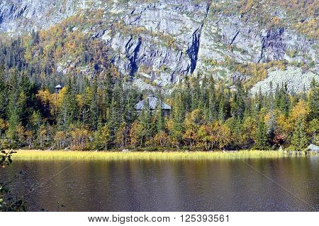 Sunny Day In South Norway At A Lake