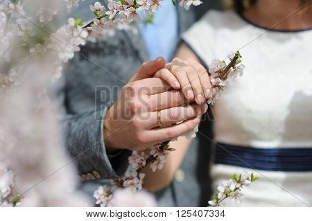 Bride and groom holding hands. A couple holding hands while standing among the branches of blooming trees in the spring. Sunny day. Focus on hands and rings.