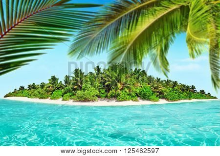 Whole Tropical Island Within Atoll In Tropical Ocean.