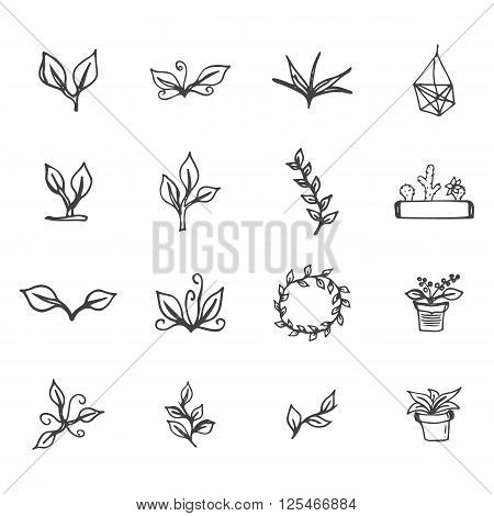 Set of hand drawn flowers leaves cactus and flower pots. Spring ink floral design with leaves and wreath for easter