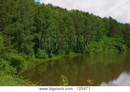 Lake And Forest