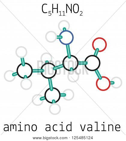 C5H11NO2 valine 3d amino acid molecule isolated on white