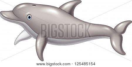 Vector illustration of Cute cartoon dolphin isolated on white background