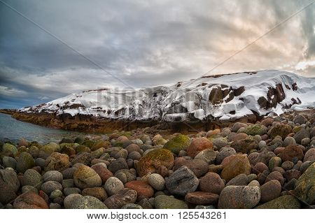 Beach with big round stones on the coast of the Barents Sea Arctic
