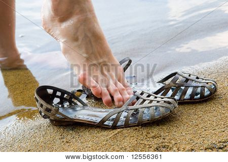 ใส่ในของรองเท้าแตะ