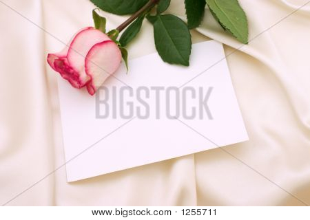 Rose różowy