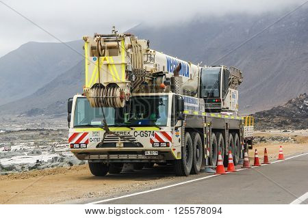 Terex