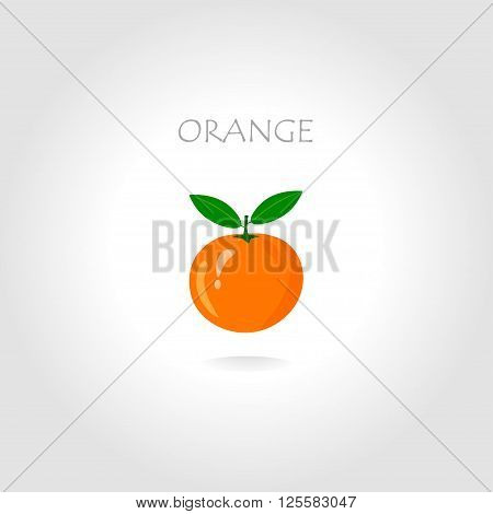 fresh orange vector illustration with text title