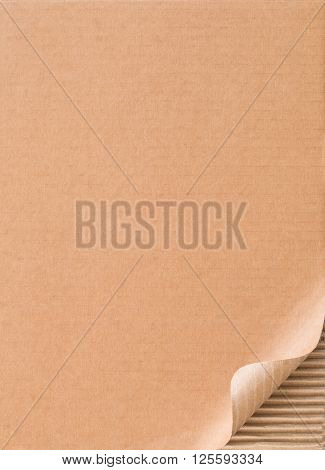 Corrugated cardboard with curled border of top layer