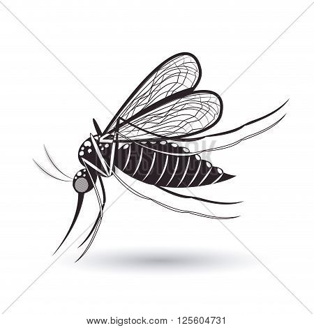 infectious gnat design, vector illustration eps10 graphic