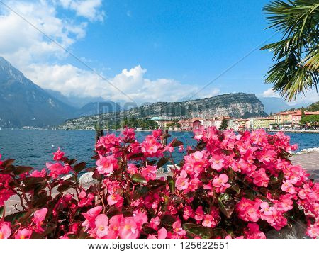 The Torbole on Lake Garda in Italy. View through  pink flowers