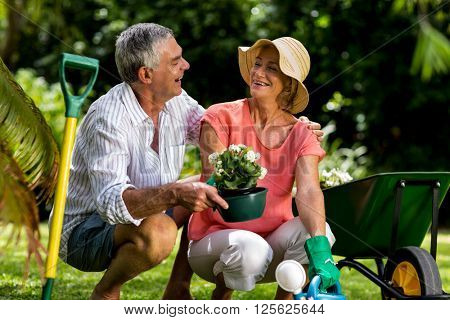 Senior couple enjoying while holding flower pot in yard