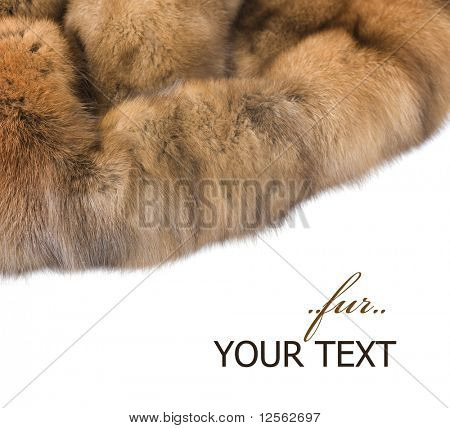 Luxe bont: Russisch Sable geïsoleerd op wit