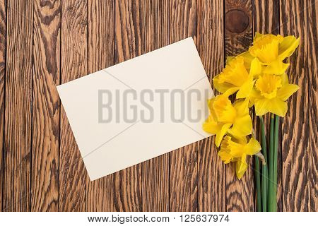 Fresh spring yellow daffodils flowers and empty tag on a brown painted wooden planks. Selective focus. Place for text.