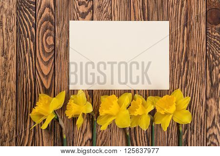 Fresh spring yellow daffodils flowers and empty tag on a brown painted wooden planks. Selective focus. Place for text.