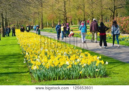 LISSE THE NETHERLANDS APRIL 11 2016: Tourists are visiting 'the Keukenhof'in the spring. The Keukenhof is a popular flower garden which is visited by a million tourists from all around the world. It is open for only six weeks every year.