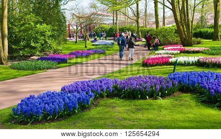 LISSE THE NETHERLANDS APRIL 11 2016: Tourists are visiting 'the Keukenhof'in the spring. The Keukenhof is a popular flower garden which is visited by a million tourists from all around the world. It is open for only six weeks every year.