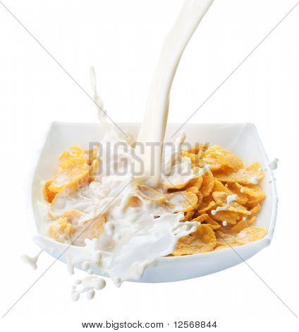 Saludable desayuno copos de maíz y leche Splash.Isolated en blanco