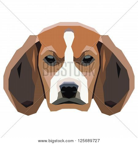 Dog on a white background. Vector illustration.