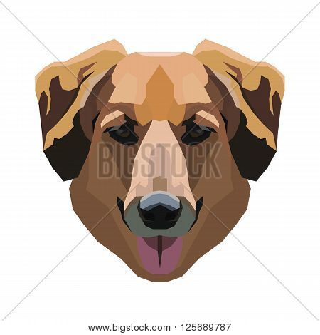 Dog on a white background. Vector illustration.