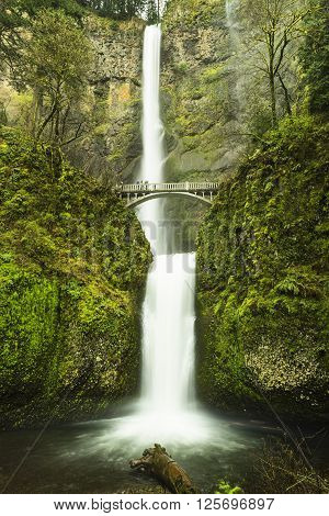 Multnomah waterfall near Portland, Oregon taken with a long exposure. This waterfall is the second tallest in the United States.
** Note: Soft Focus at 100%, best at smaller sizes