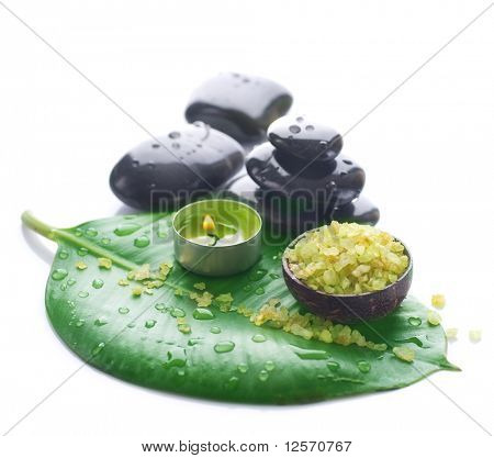 白上 spa