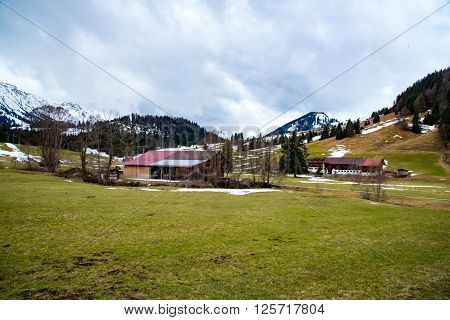 amaizing mountains meadow in Bavaria in early spring