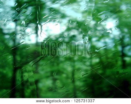 Rain drops on glass. The green background. Horizontal.