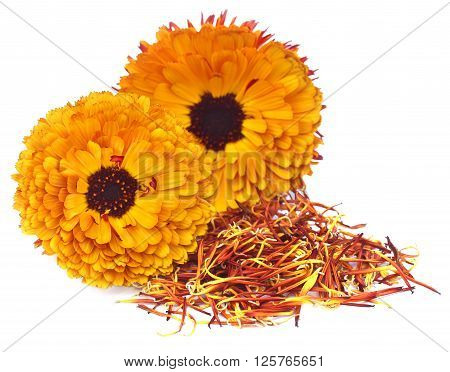 Close up of calendula over white background