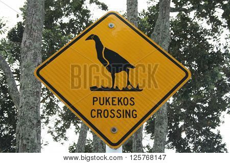 Yellow street sign warning drivers of Pukekos crossing.