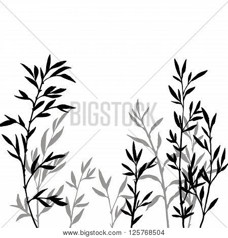 thicket of branches with leaves, bamboo shoots, isolated hand drawn vector elements