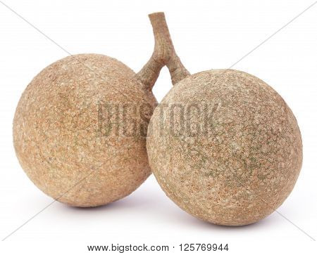 Pair of wood apples or kod bel of Southeast Asia