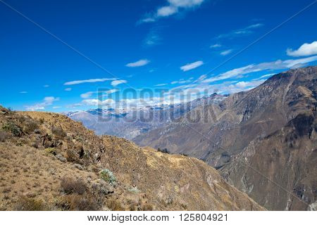 The canyon Colca is the deepest in the world