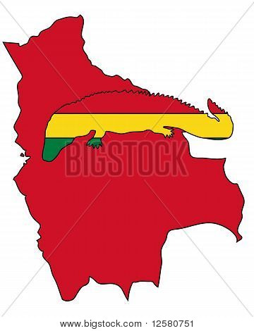 Kaiman-Bolivien