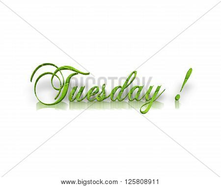 Tuesday